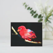 Postkarten-Tiere-35 Postkarte (Stehend Vorderseite)