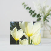 Postkarten Tulip Garden Custom White Tulip (Stehend Vorderseite)
