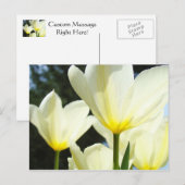 Postkarten Tulip Garden Custom White Tulip (Vorne/Hinten)