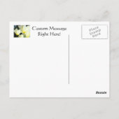 Postkarten Tulip Garden Custom White Tulip (Rückseite)