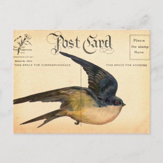 Postkarten Vogel Digitale Kunst (Vorderseite)