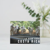 Postkarten vom Paradise Vacation Foto Postkarte (Stehend Vorderseite)