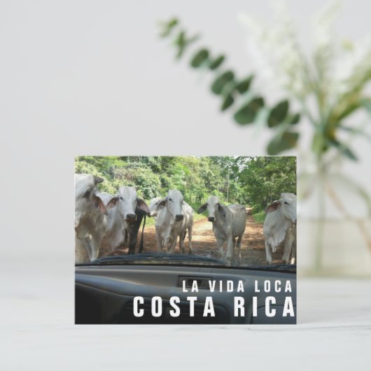 Postkarten vom Paradise Vacation Foto Postkarte (Stehend Vorderseite)