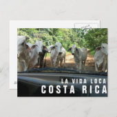 Postkarten vom Paradise Vacation Foto Postkarte (Vorne/Hinten)