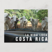 Postkarten vom Paradise Vacation Foto Postkarte (Vorderseite)