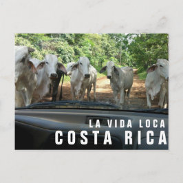 Postkarten vom Paradise Vacation Foto Postkarte