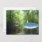 Postkarten: Waldweg Postkarte (Vorne/Hinten)