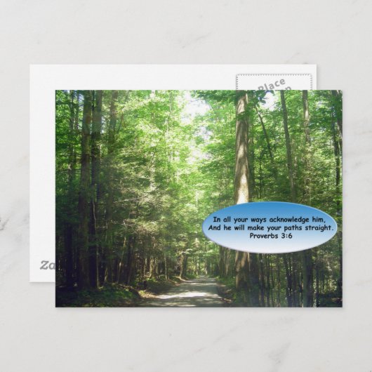 Postkarten: Waldweg Postkarte (Vorne/Hinten)