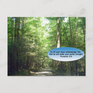 Postkarten: Waldweg Postkarte