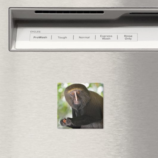 Postkartenaufkleber mit Eulenschaum Magnet (In Situ (Geschirrspüler))