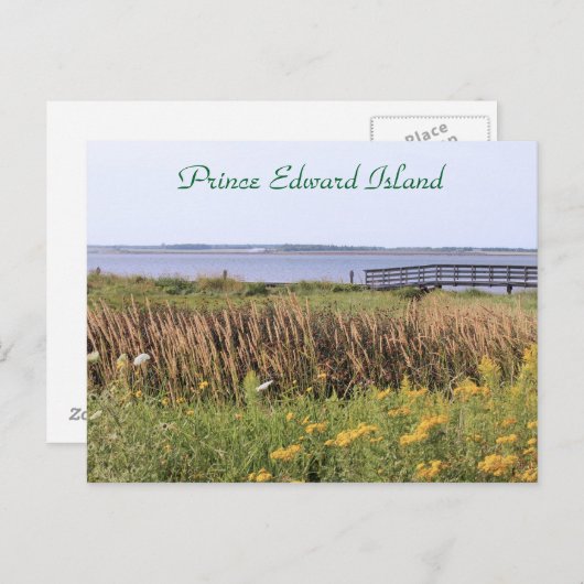 Postkartenbrücke, Wildblumen, Ozean, Prinz Edward Postkarte (Vorne/Hinten)