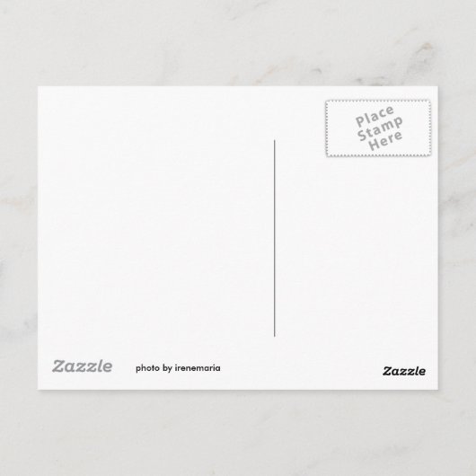 Postkartenfeder Postkarte (Rückseite)