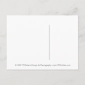Postkartengeschenke Liebe Schwäne Ankündigungspostkarte (Rückseite)