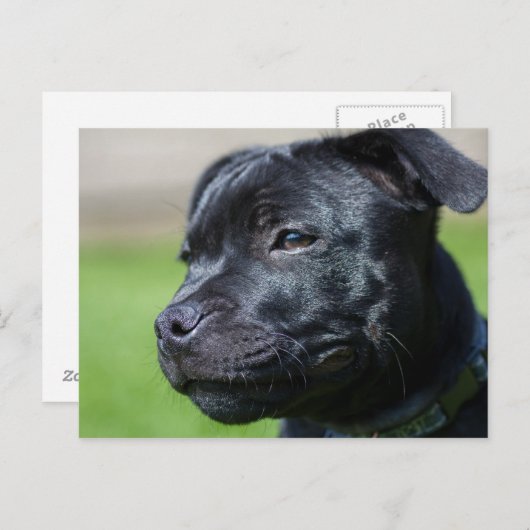 Postkartenhalter Postkarte (Vorne/Hinten)