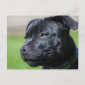 Postkartenhalter Postkarte (Vorderseite)