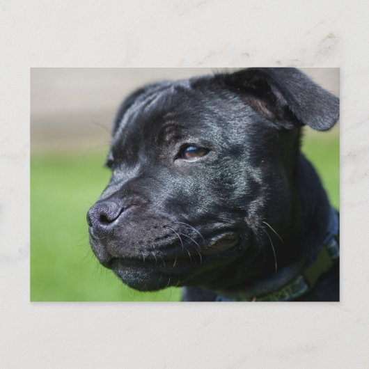 Postkartenhalter Postkarte (Vorderseite)