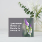 Postkartenkalender 2023 postkarte (Stehend Vorderseite)