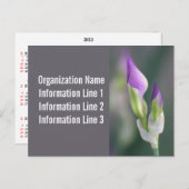 Postkartenkalender 2023 postkarte (Vorne/Hinten)