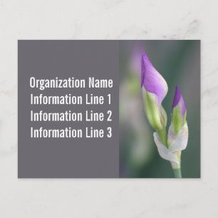 Postkartenkalender 2023 postkarte