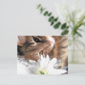 Postkartenkittel Postkarte (Stehend Vorderseite)