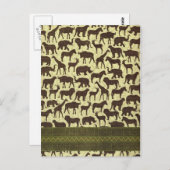 Postkartentiere Afrikas Postkarte (Vorne/Hinten)