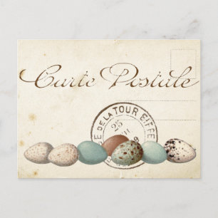 Postkartenvogel-Set 1 von 4 (Poststempel Eier) Postkarte