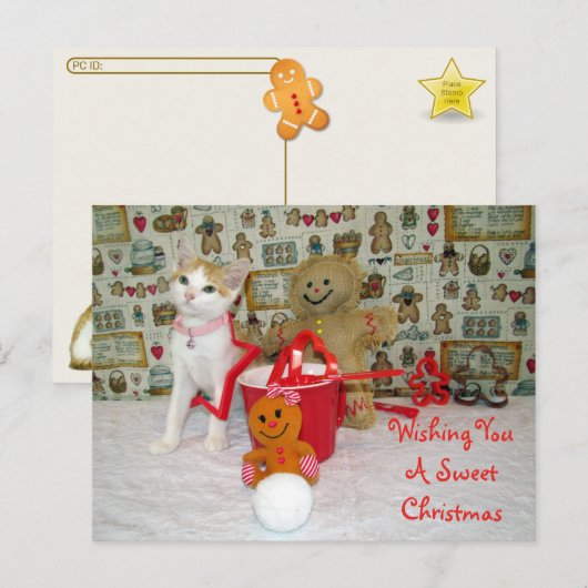 Postkreuzung - Annie Cat Gingerbrei Weihnachten Postkarte (Vorne/Hinten)
