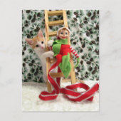 Postkreuzung - Annie the Cat und Christmas Elf Postkarte (Vorderseite)