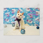 Postkreuzung - Audreys Weihnachten - Katze Postkar Postkarte (Vorderseite)