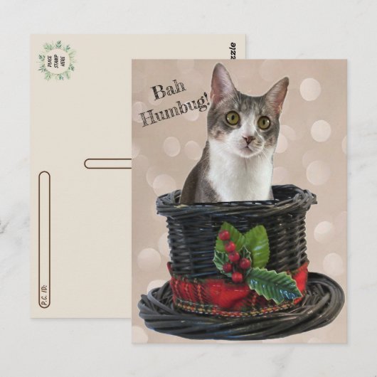 Postkreuzung - Bah Humbag Tito Die Katze Postkarte (Vorne/Hinten)