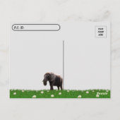 Postkreuzung - Bild einer afrikanischen Elefanten- Postkarte (Rückseite)