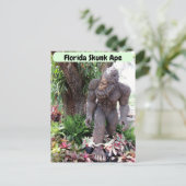 Postkreuzung - Bild von Florida Skunk Ape Postkarte (Stehend Vorderseite)