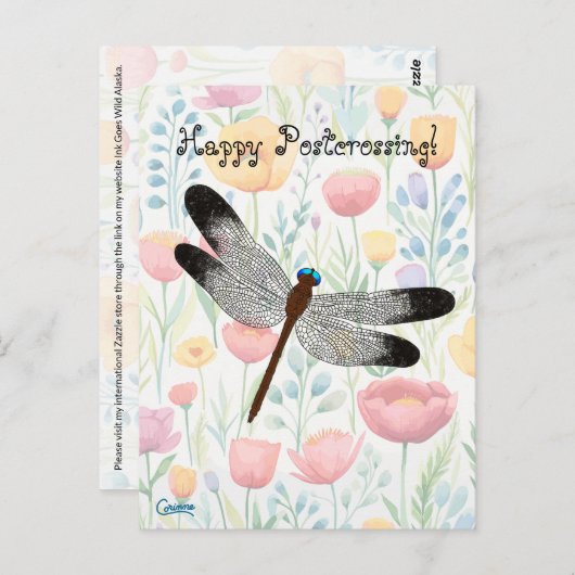Postkreuzung der Dragonfly - Postkarte (Vorne/Hinten)