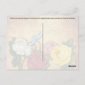 Postkreuzung der Dragonfly - Postkarte (Rückseite)