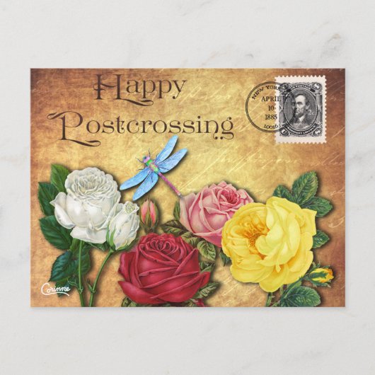 Postkreuzung der Dragonfly - Postkarte (Vorderseite)