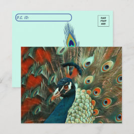 Postkreuzung farbiger Pfau Postkarte