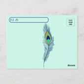 Postkreuzung farbiger Pfau Postkarte (Rückseite)