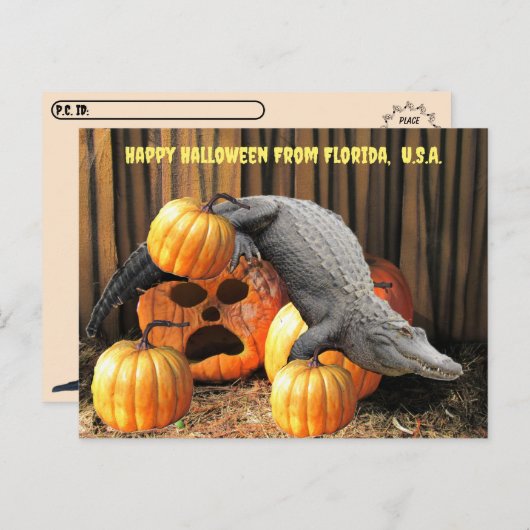 Postkreuzung - Halloween Pumpkins und Gator Postkarte (Vorne/Hinten)