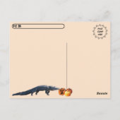 Postkreuzung - Halloween Pumpkins und Gator Postkarte (Rückseite)