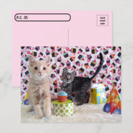 Postkreuzung - Happy Birthday Cats Postkarte