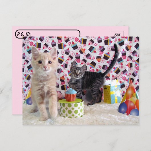 Postkreuzung - Happy Birthday Cats Postkarte (Vorne/Hinten)
