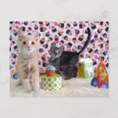 Postkreuzung - Happy Birthday Cats Postkarte (Vorderseite)