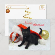 Postkreuzung - Joons Weihnachten - Katze / Kitten