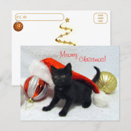 Postkreuzung - Joons Weihnachten - Katze / Kitten Postkarte
