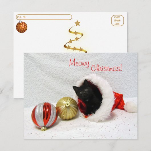 Postkreuzung - Joons Weihnachten - Katze / Kitten Postkarte (Vorne/Hinten)
