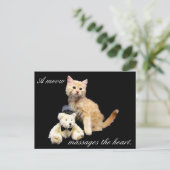 Postkreuzung - Katzenbild - Sundrop und Teddy Bear Postkarte (Stehend Vorderseite)