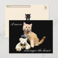 Postkreuzung - Katzenbild - Sundrop und Teddy Bear