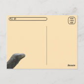 Postkreuzung - Krokodile Monitor Lizard Postcard Postkarte (Rückseite)