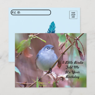 Postkreuzung Little Birdie Birthday Postcard Postkarte