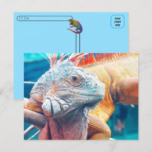 Postkreuzung - Schöne iguana Postkarte